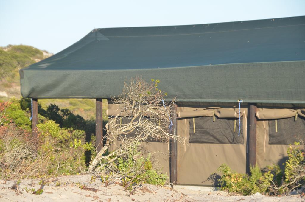 Dwarskersbos West Coast Luxury Tents מראה חיצוני תמונה