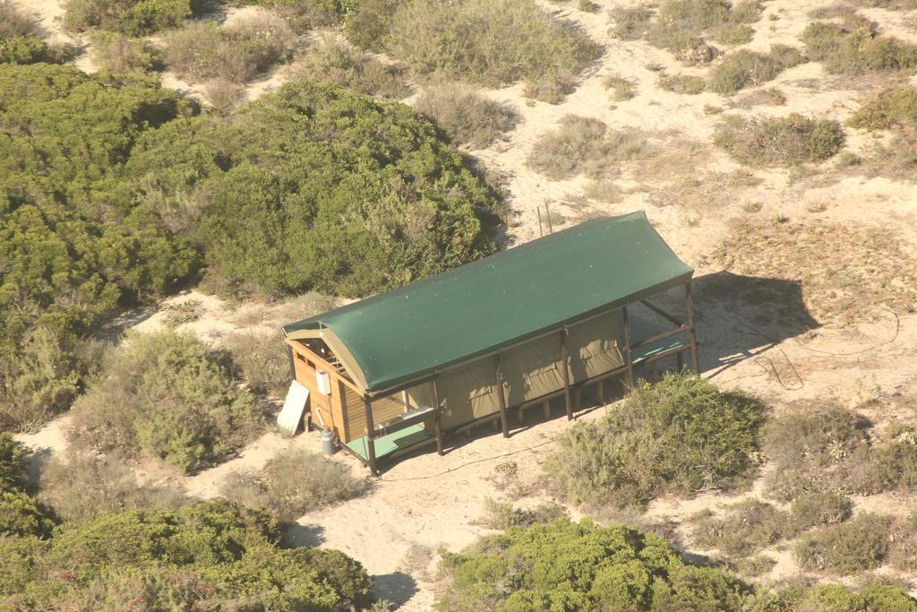Dwarskersbos West Coast Luxury Tents מראה חיצוני תמונה