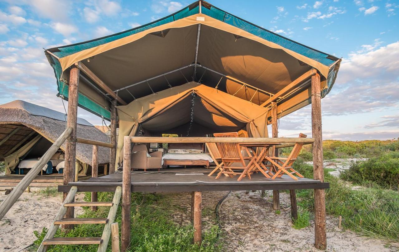 Dwarskersbos West Coast Luxury Tents מראה חיצוני תמונה